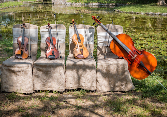 Cuarteto para bodas. Dos violines, una viola y un violonchelo